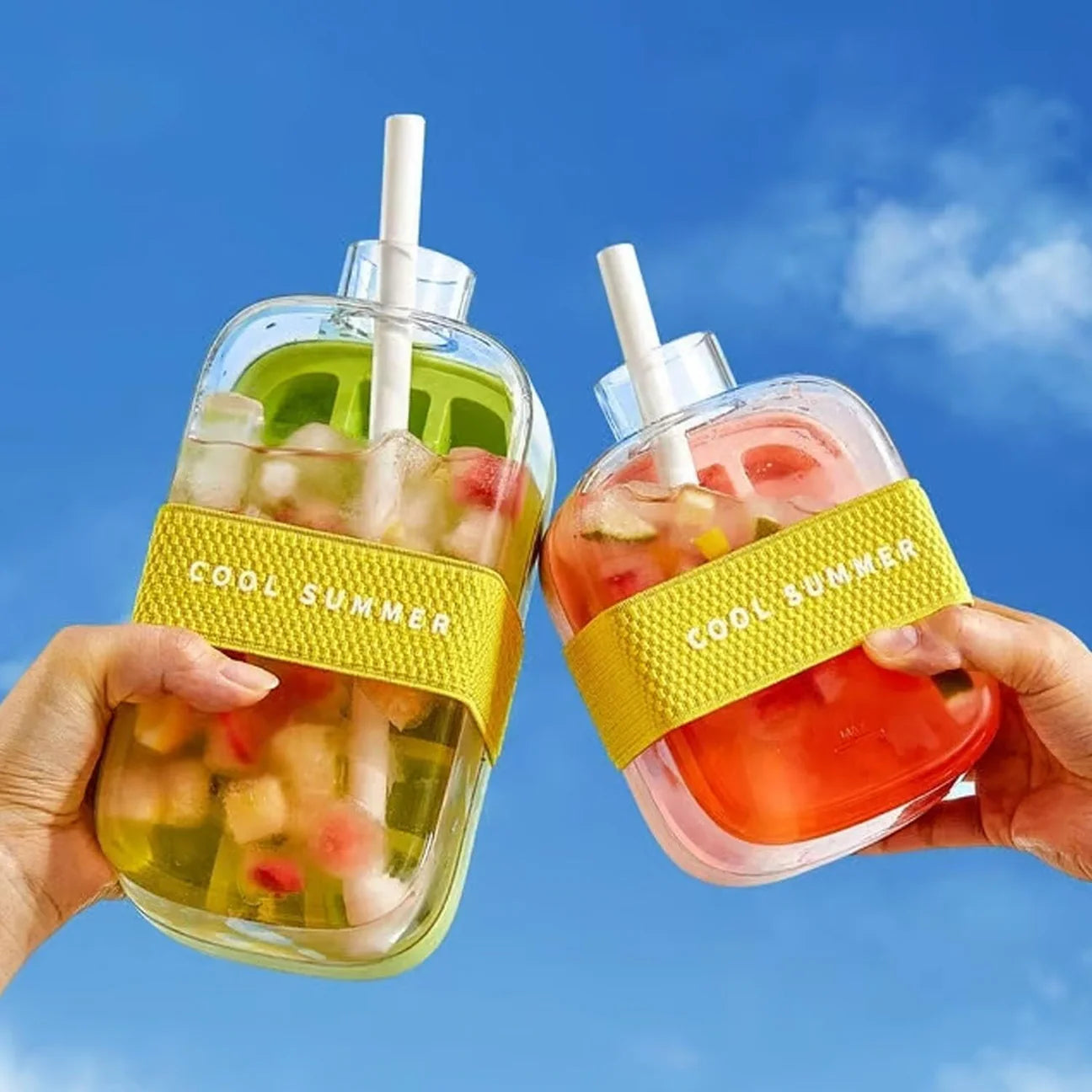 DomoStil™2-in-1 Ice Cube Bottle