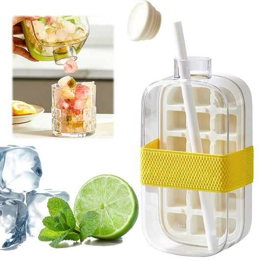 DomoStil™2-in-1 Ice Cube Bottle
